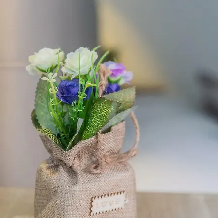 Le Di Teo Gæstehus La Spezia